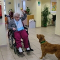 Pet Therapy